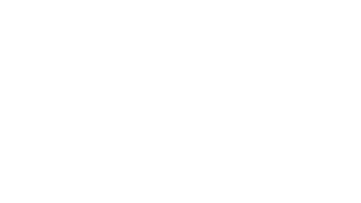 Dice
